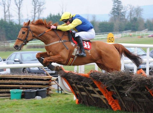 The Buck & David Splaine were stylish winners at Gowran