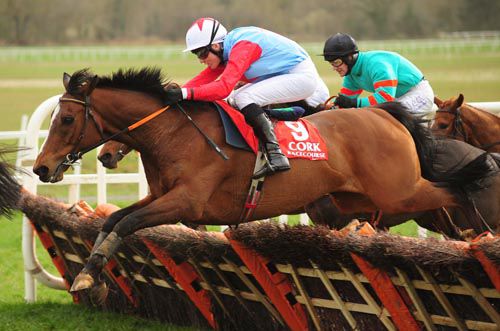 Hevelius and Emmet McNamara at Cork