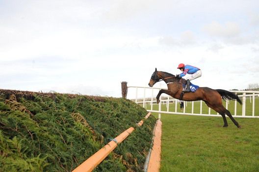 Old Si and Bryan Cooper ping the final fence