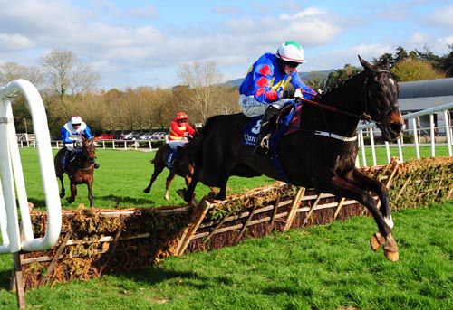 Datokepe and Bryan Cooper jump the last at Clonmel