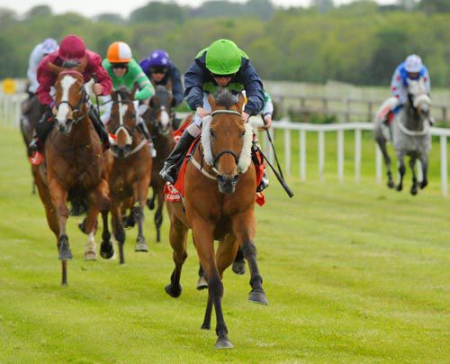 Look Busy and Chris Hayes race clear of the field at Cork