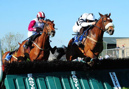 Safari Sunup (right) jumps the final flight narrowly ahead of Point The Toes