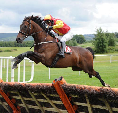 Bachelor Affair throws a mighty leap for Tommy Treacy at the final hurdle