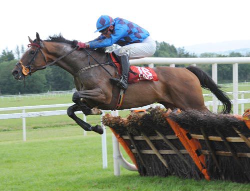 Sligo clears the last to take the opening three mile maiden hurdle under John Cullen