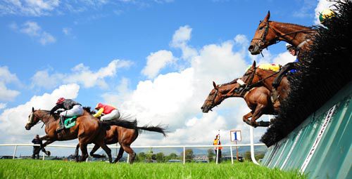 Fearnwood Girl (black) & Bachelor Affair race away from the last