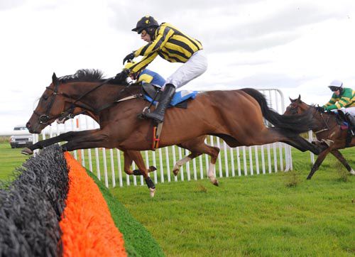 Burrenbridge Lodge reaches for the last under Tom Doyle