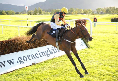 Quiet Thought & Bryan Cooper do it in style at Killarney