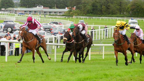 Sister Steve stays on best to score under Davy Russell from Tirmoyle (wine with white cap) & Fairwood Massini (yellow)