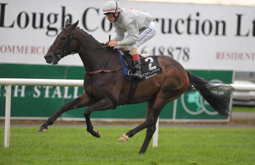 It was easy for Pat Smullen & Northgate in Her Majesty's Plate