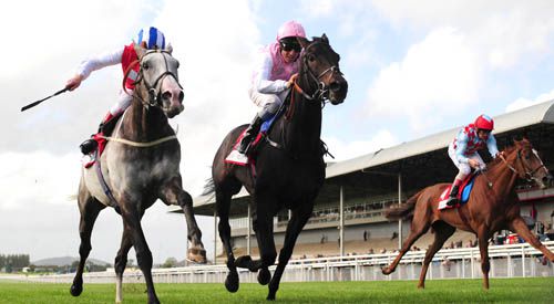 Duncan & Jukebox Jury dead-heating in the St Leger last year