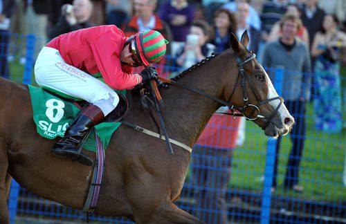 City Of Doral and Eddie O'Connell winning for trainer James Lambe 