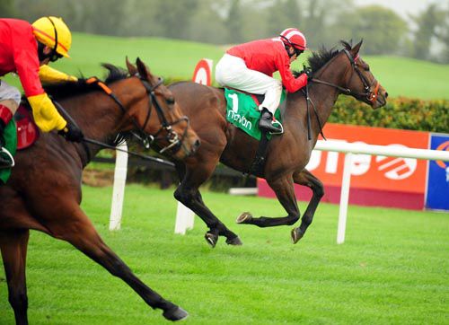 Balmont Mast and Colm O Donoghue win from Judies Child