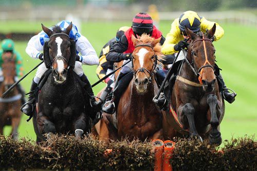 Pineau De Re (right) jumps to the front from Berties Dream (left) with Rigour Back Bob in between 