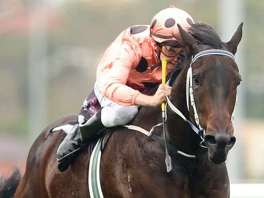 Australia 2011 BLACK CAVIAR 