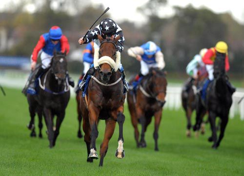 Take It To The Max comes home clear at Leopardstown