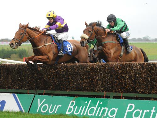 Golden Sunbird (Michael Doran) just rises ahead of Knockfierna at the last