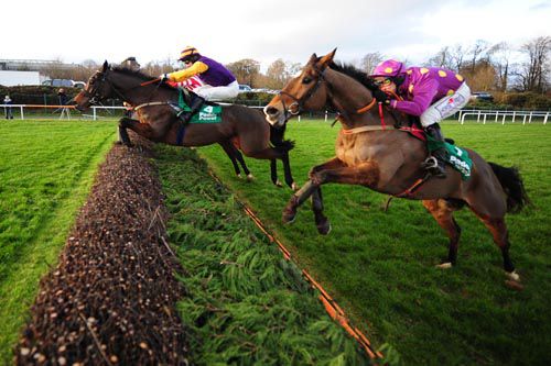 Big Zeb (near side) comes to tackle Noble Prince at the last in the Paddy Power Chase at Leopardstown