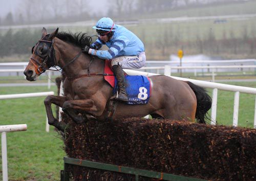 The Bosses Nephew jumps the last under Eddie O'Connell