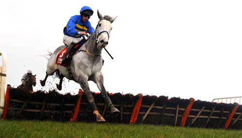 Ocean Bright and Conor Maxwell clear the last hurdle