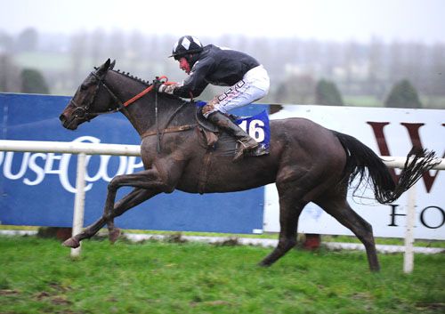 Scrapper Jack and Declan Queally 