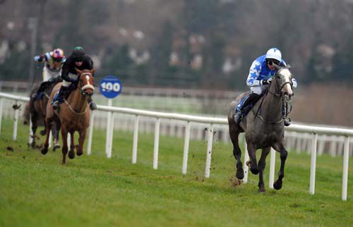 The grey Pique Sous comes home clear under Patrick Mullins