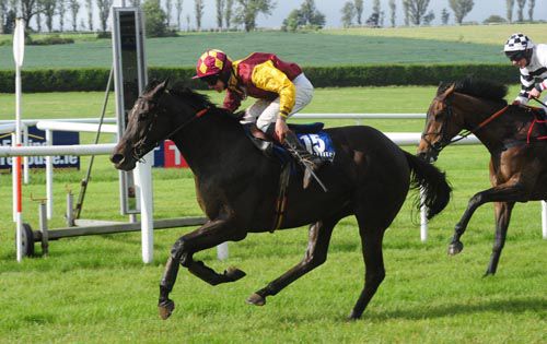 Tristram Shandy was too strong for Special Tiara when it counted at Clonmel
