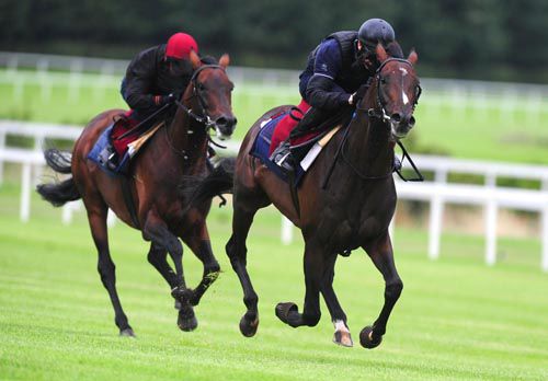 Camelot strides clear of Fame And Glory in a preracing workout