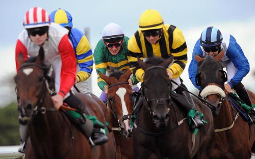 Runners contest the Sligo Handicap, won by Stocktons WIng (white cap)