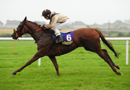 Sheilas Wish gets her first ever win at Wexford