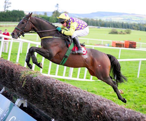Protaras (Paul Carberry) throws another fine leap at the last