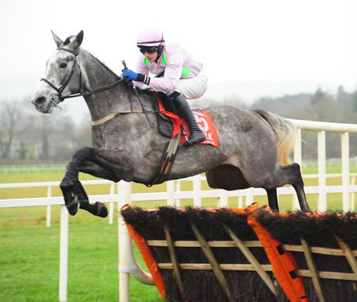 Champagne Fever soars over a hurdle at Cork