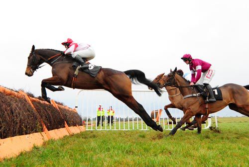 Bishopsfurze jumps a hurdle in front of Becauseicouldntsee (partially hidden) & Folsom Blue