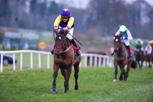 Kick On Boss looked a lovely type when accounting for Super Mix at Gowran