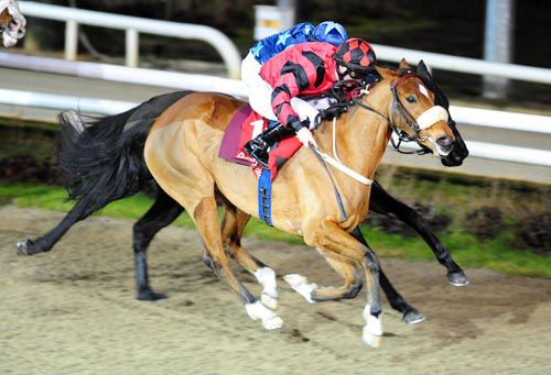 Lily Of Kenmare and Gary Carroll (nearside)