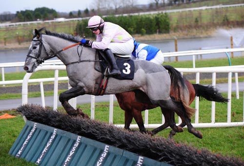 Dogora in action at Limerick