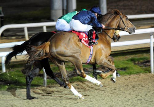 Time For Action (near-side) got up to beat Behlayan at Dundalk