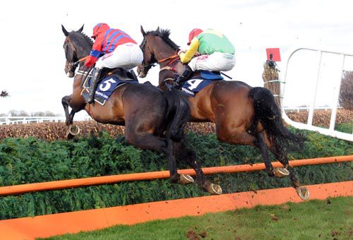 2013 Sprinter Sacre and Sizing Europe in unison at Punchestown
