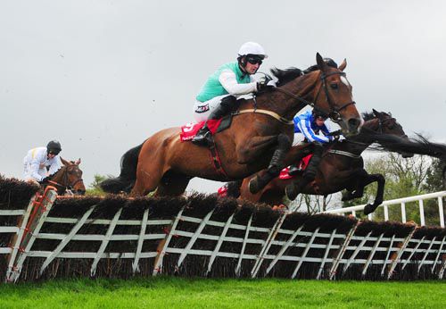 "Crying out for fences" - Perfect Gentleman with Patrick Mullins up