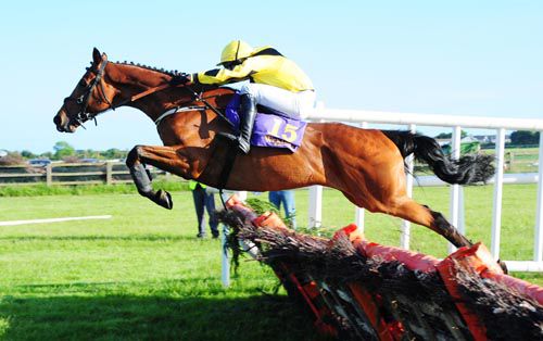 Chinook Run (Mark Bolger) pings the last in division one of the handicap hurdle