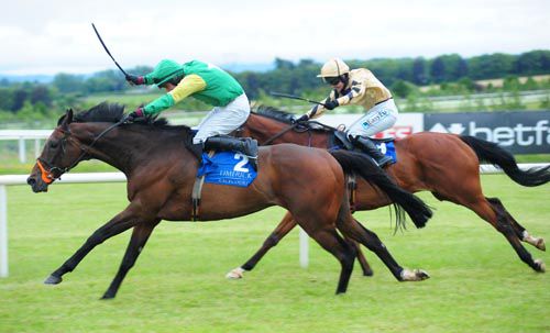 Caim Hill strives for the line at Limerick