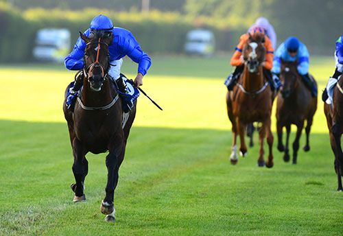 Weather Watch burns them off at Leopardstown
