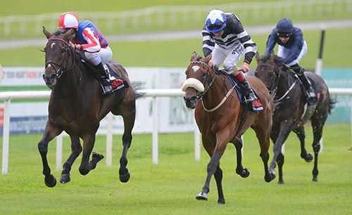 Royal Diamond (left) & Voleuse De Coeurs battle out the finish, with Ernest Hemmingway back in third