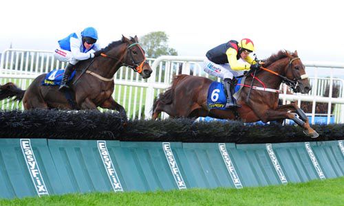King Of the Picts has the lead over the last in Tipperary