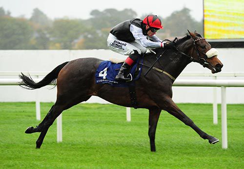 I'm Yours was very professional in the first at Leopardstown