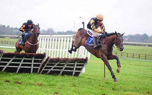 Ivan Grozny and Ruby Walsh land over the last 