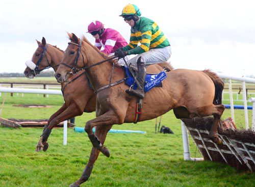 Shantou Ed (nearside) makes a mistake at the last, with Halling's Treasure upsides
