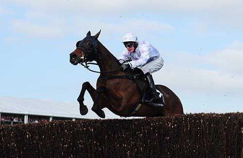 Holywell winning at Cheltenham last March