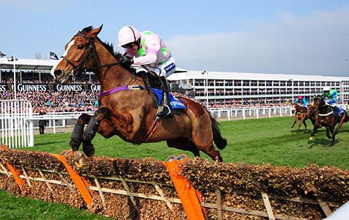 The Willie Mullins-trained Faugheen