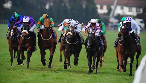 Bertimont and Sean Corby, second right, come home well in Leopardstown