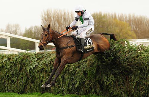 2014 Grand National winner Pineau De Re